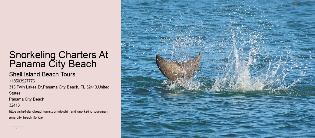 Panama City Beach Snorkeling Tours