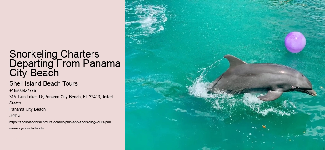 Panama City Beach Snorkeling Tours My
