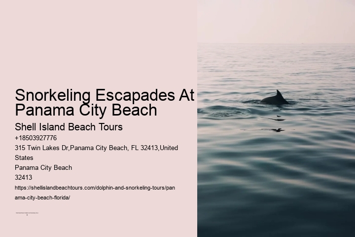 Snorkeling Escapades At Panama City Beach