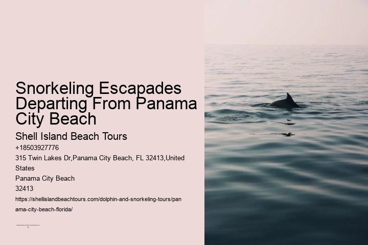 Snorkeling Escapades Departing From Panama City Beach