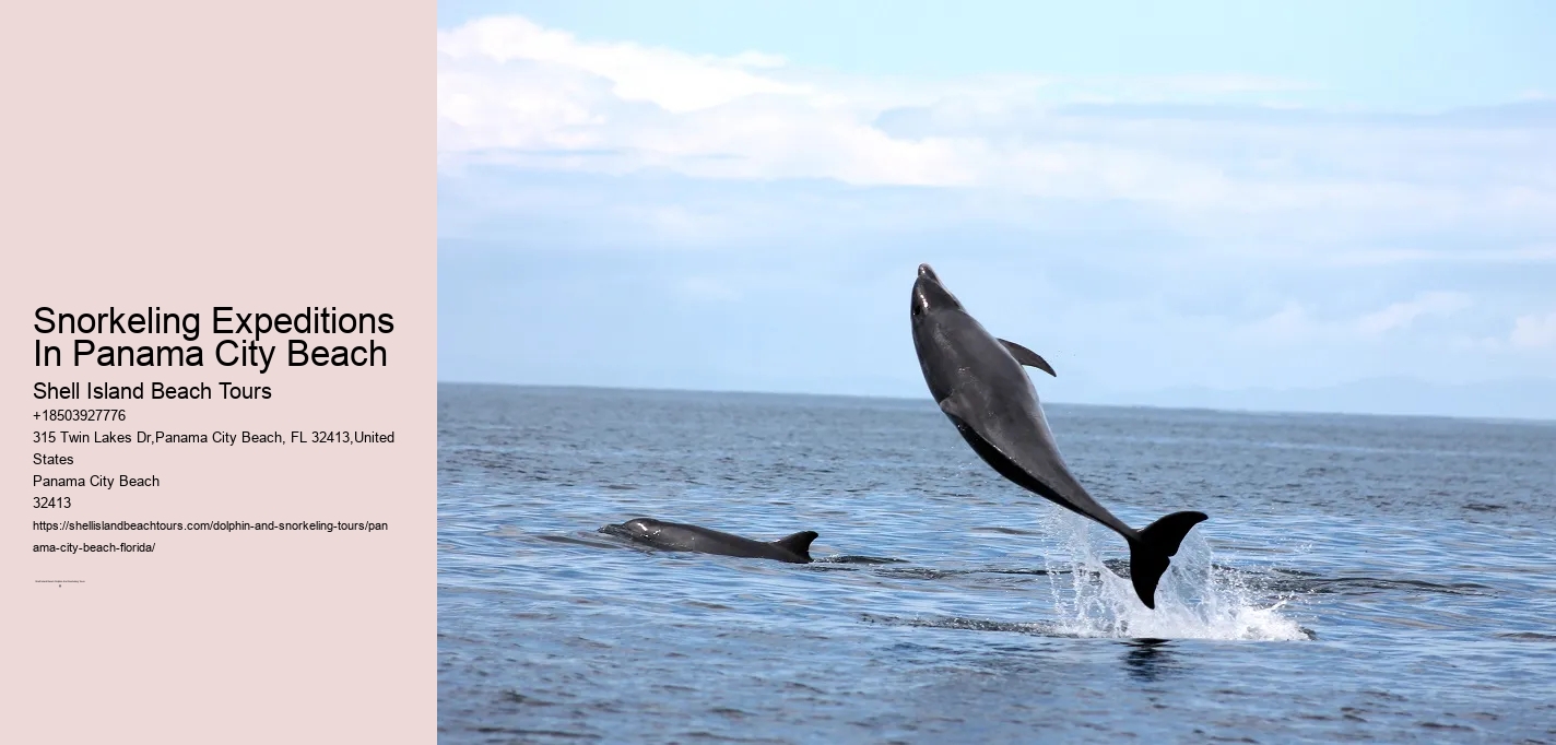 Snorkeling Expeditions In Panama City Beach
