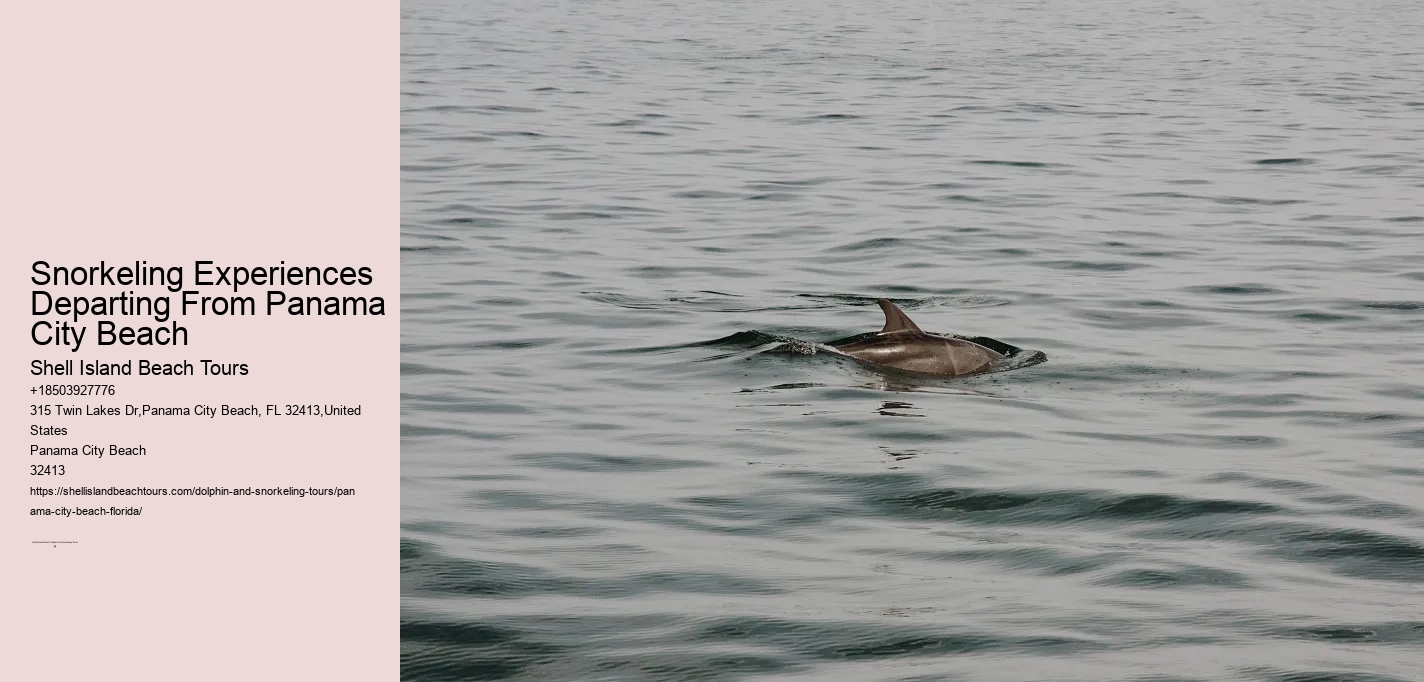Snorkeling Experiences Departing From Panama City Beach