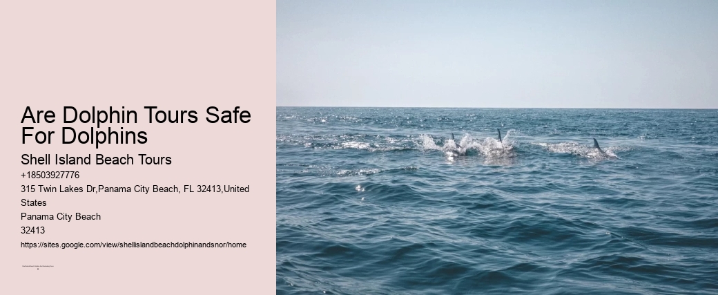 Panama City Beach's Shell Island