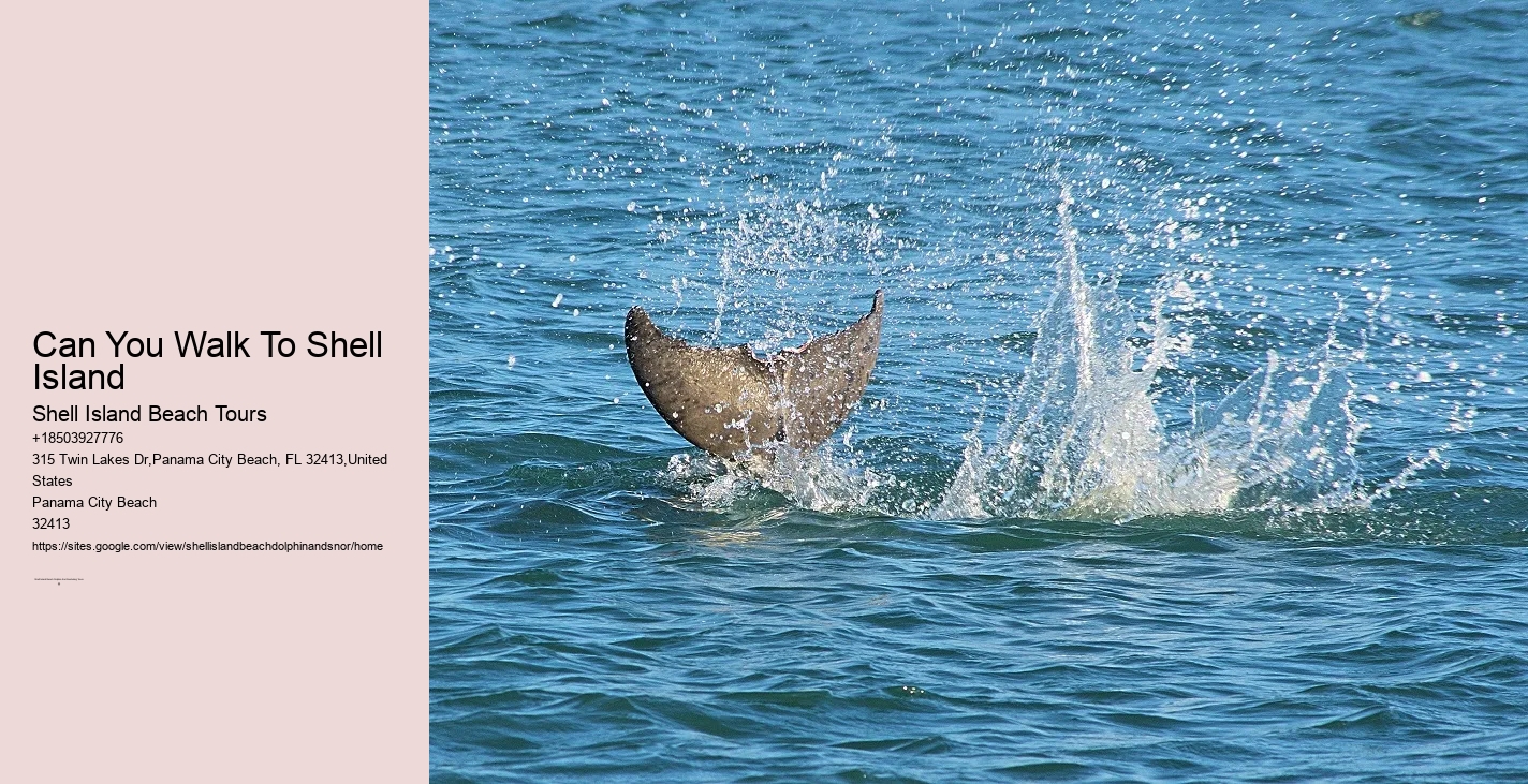 Dolphins Like To Play