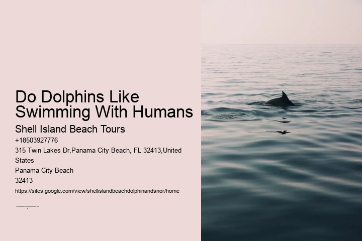 Do Dolphins Like Swimming With Humans