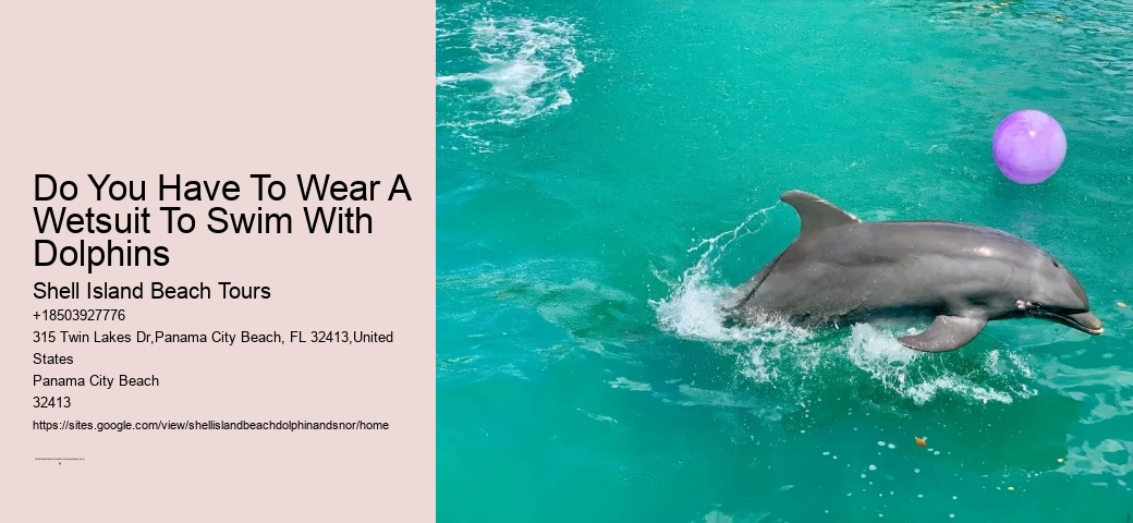 Shell Island Snorkel And Dolphin Catamaran Cruise