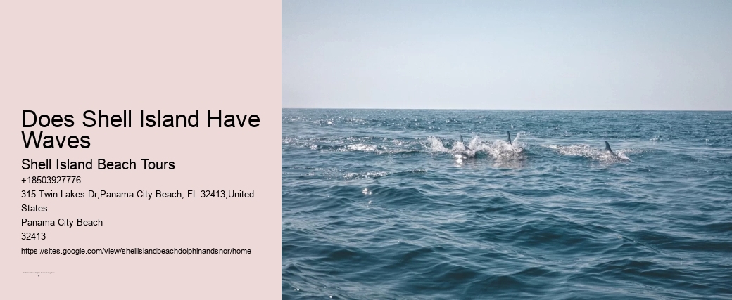 Dolphin Delight Expeditions