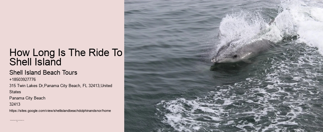 It Has Been Estimated That There Are Only 50,000 Conches Still In Existence Across The Globe