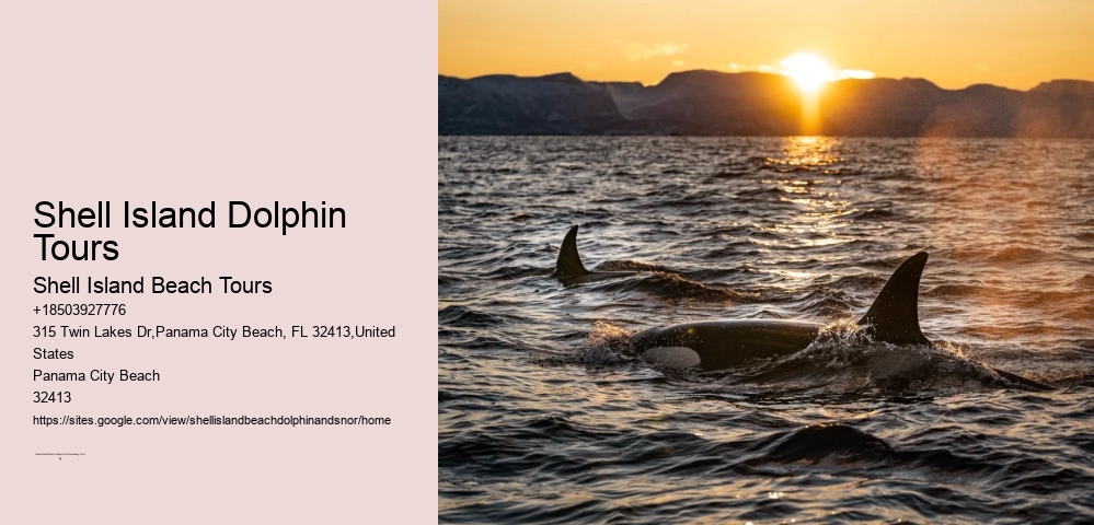 Frequently Asked Questions About Shell Island In Panama City Beach