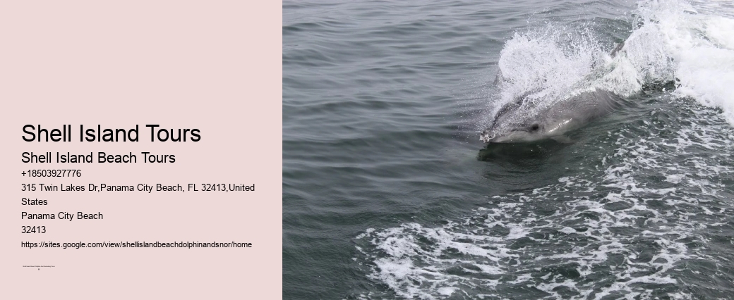 Snorkel Radiance Tours