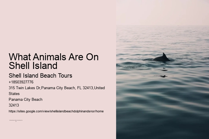 What Animals Are On Shell Island