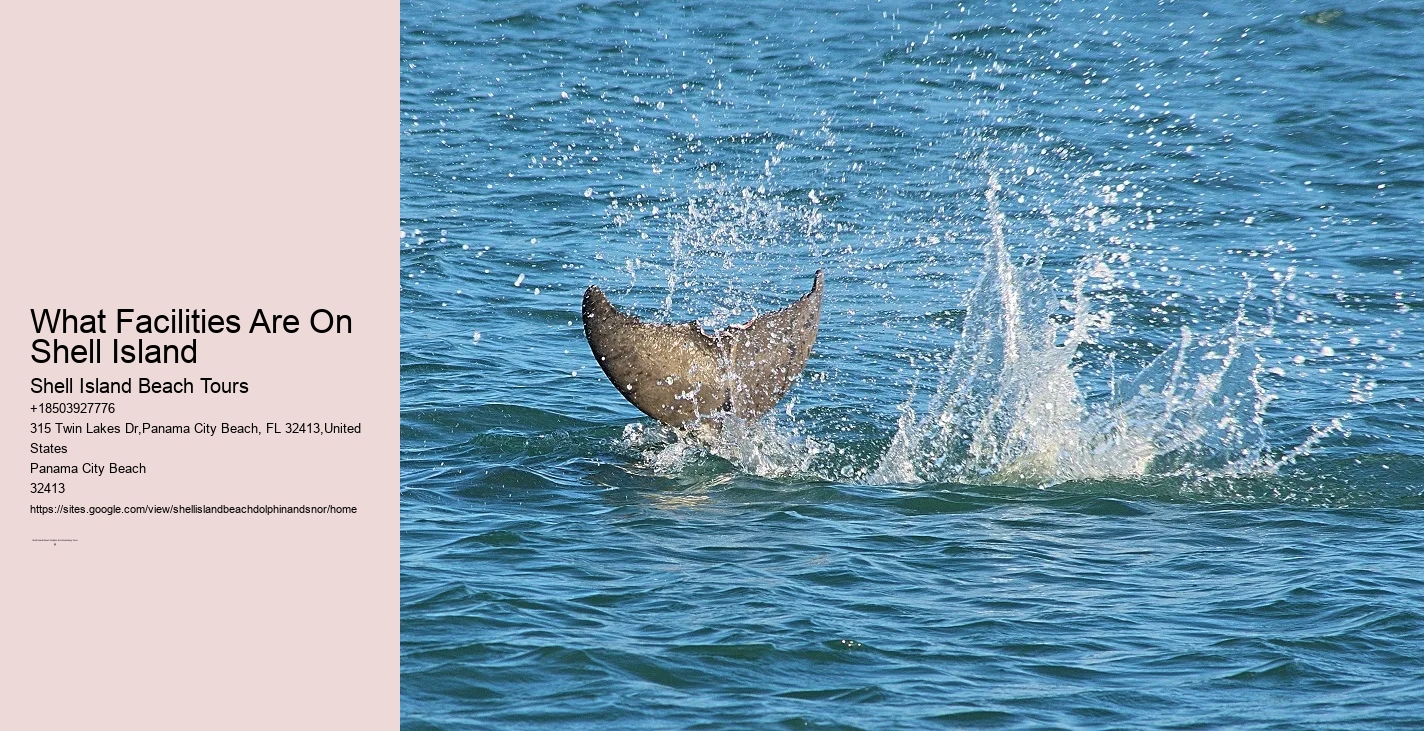 Island Oasis Expeditions