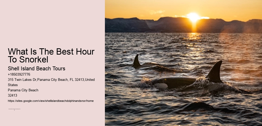 Relatively Calm And Shallow Waters