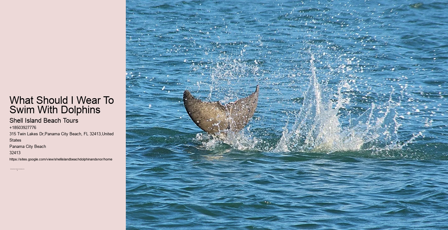 18 Best Places To Swim With Dolphinsbucket List Travels