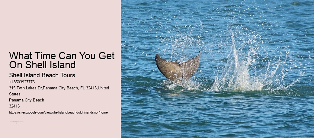 What Time Can You Get On Shell Island