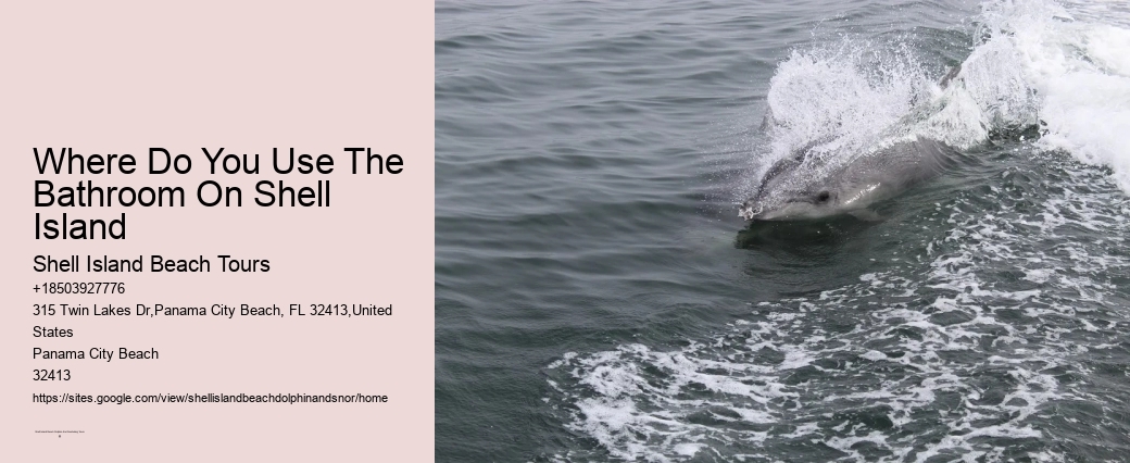 Shell Isle Bliss Cruise