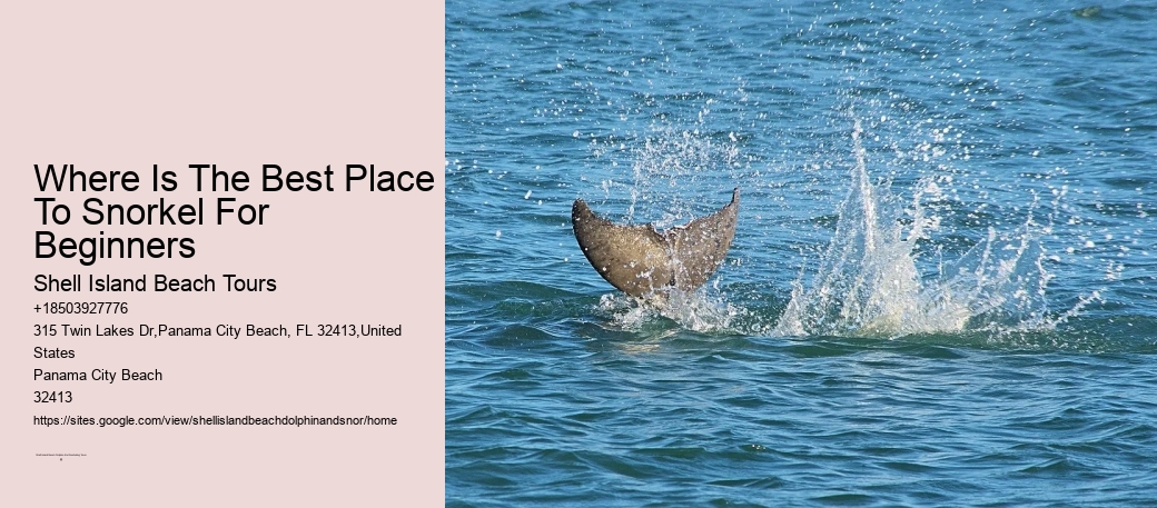 Where Is The Best Place To Snorkel For Beginners