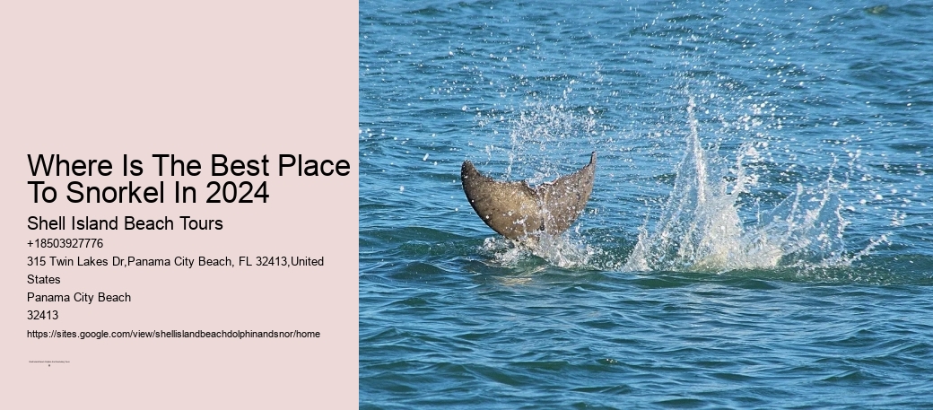 Shell Isle Exploration