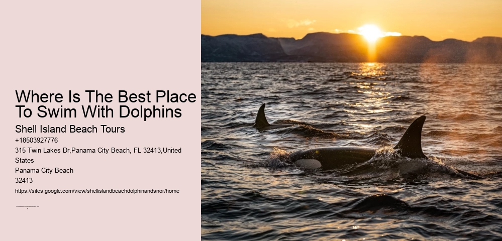 Can You Keep Empty Conch Shells In Florida Keys