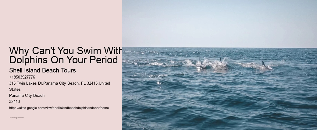 Why Can't You Swim With Dolphins On Your Period