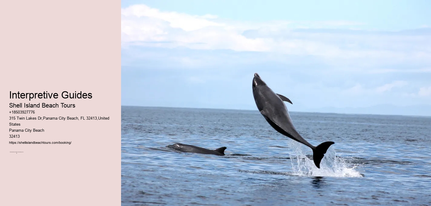 Tours To Shell Island