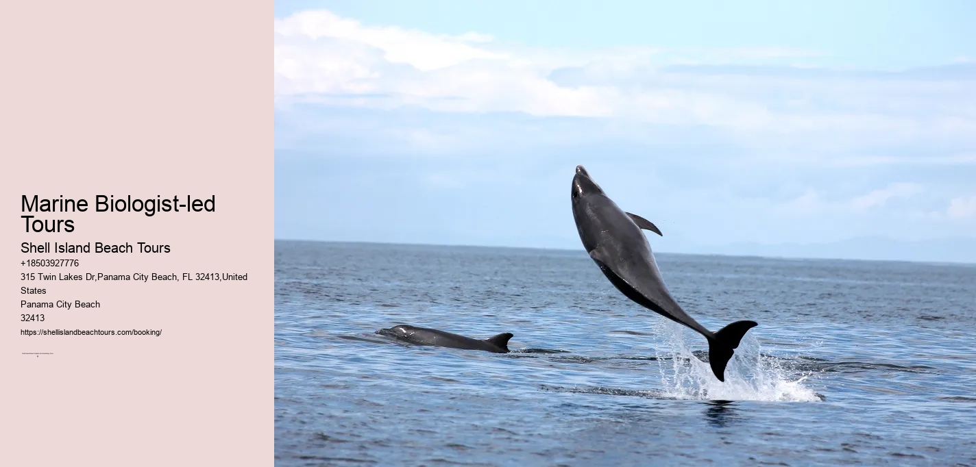 Marine Biologist-led Tours