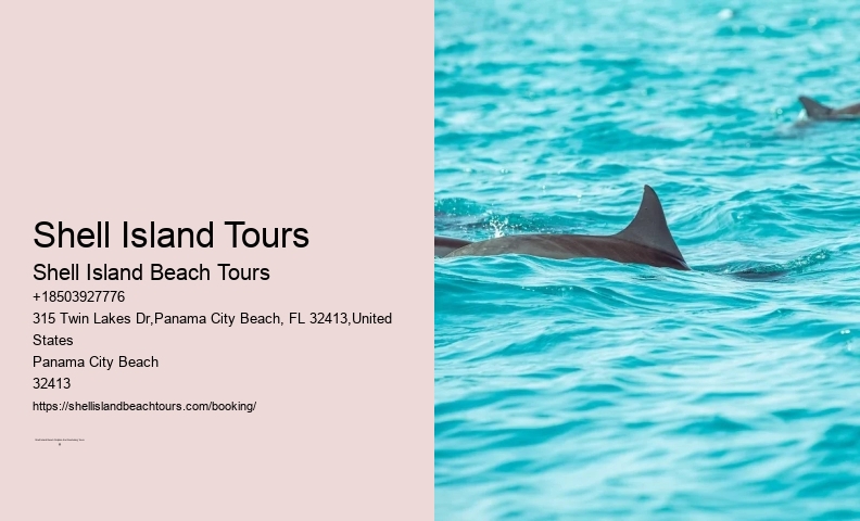 Shell Island Trips & Dolphin Tours