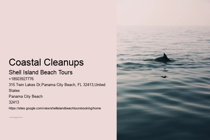 Coastal Cleanups Shell Island Beach Tours Coastal Cleanups
