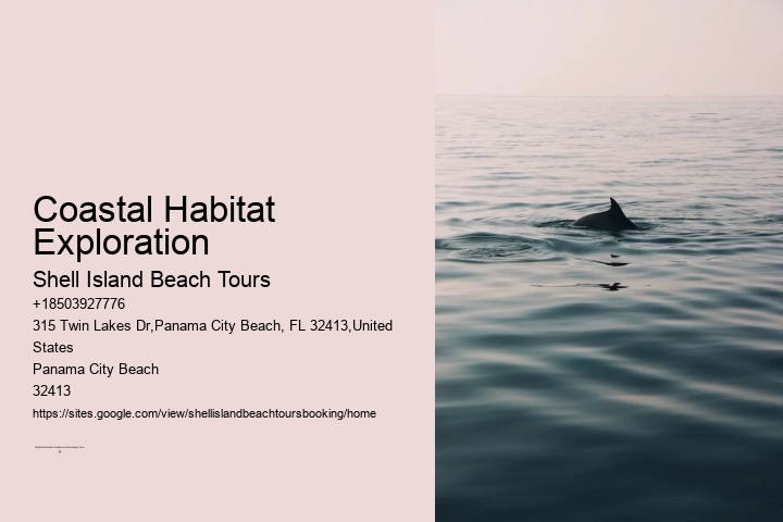 Coastal Habitat Exploration Shell Island Beach Tours Coastal Habitat Exploration