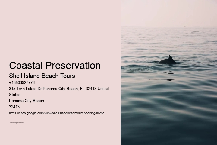 Coastal Preservation Shell Island Beach Tours Coastal Preservation
