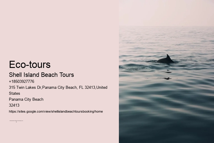 Eco-tours Shell Island Beach Tours Eco-tours
