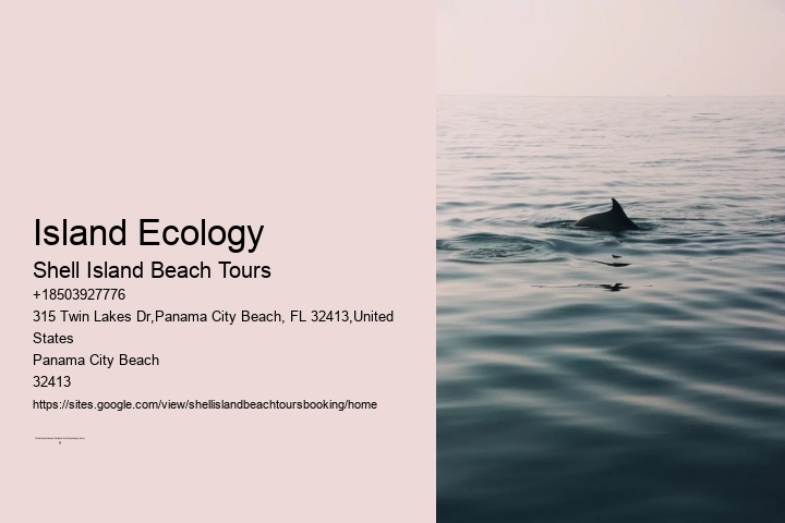 Island Ecology Shell Island Beach Tours Island Ecology