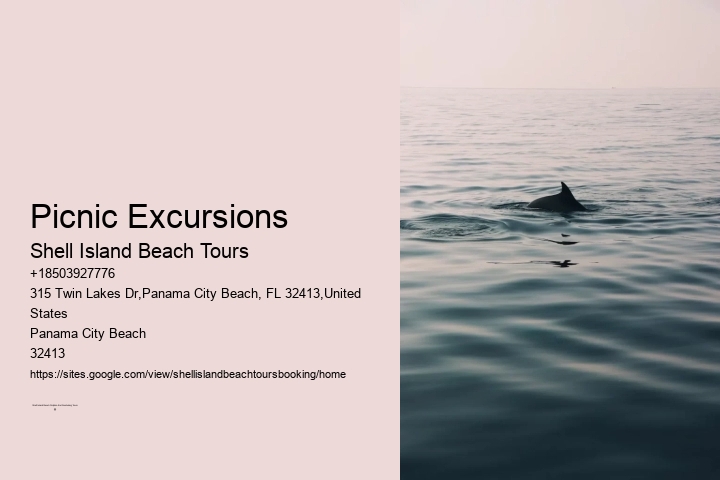 Picnic Excursions Shell Island Beach Tours Picnic Excursions