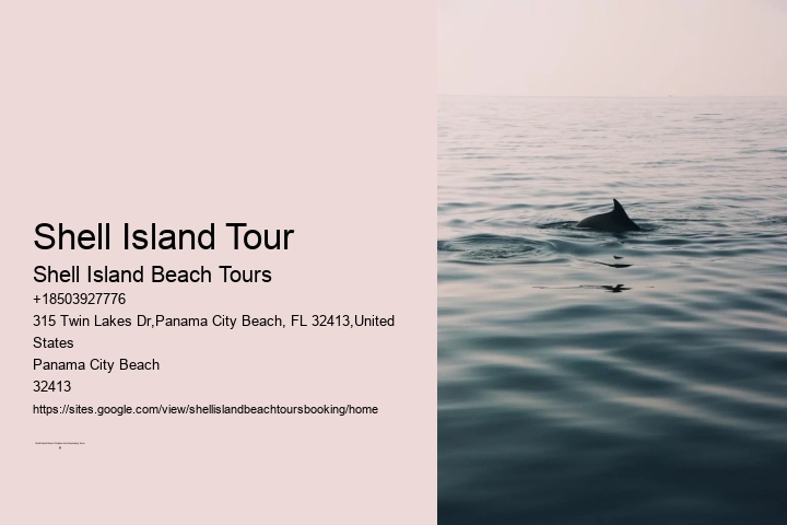 Shell Island Tour Shell Island Beach Tours Shell Island Tour